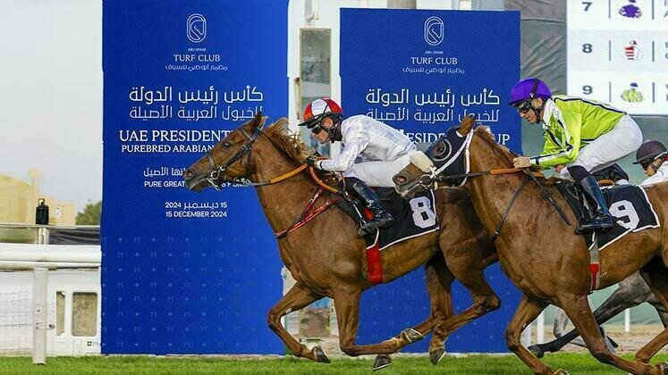 UAE President Cup Purebred Arabian Grand Prix kicks off December 15