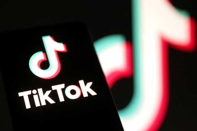 TikTok goes offline in US ahead of ban, company pins hopes on 'potential reinstatement' under Trump