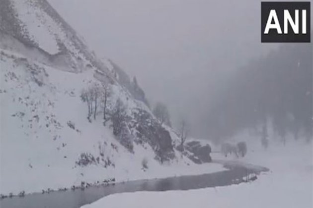 J-K: IMD predicts rain, snowfall in coming 5 days as Bandipora receives fresh snowfall