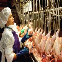 USDA: US chicken, pork plant workers face higher health risks