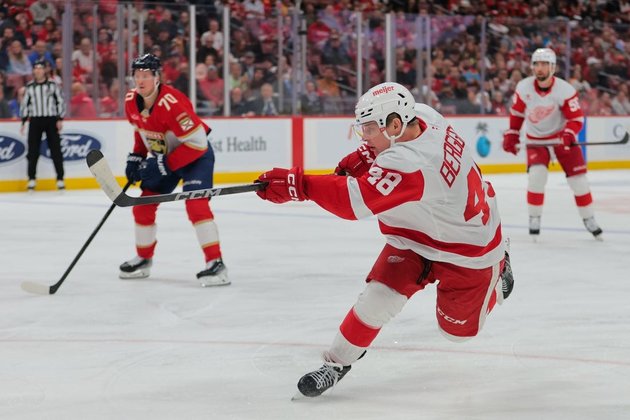 Red Wings' hot power play overwhelms Panthers