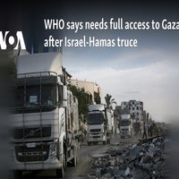 WHO says needs full access to Gaza after Israel-Hamas truce